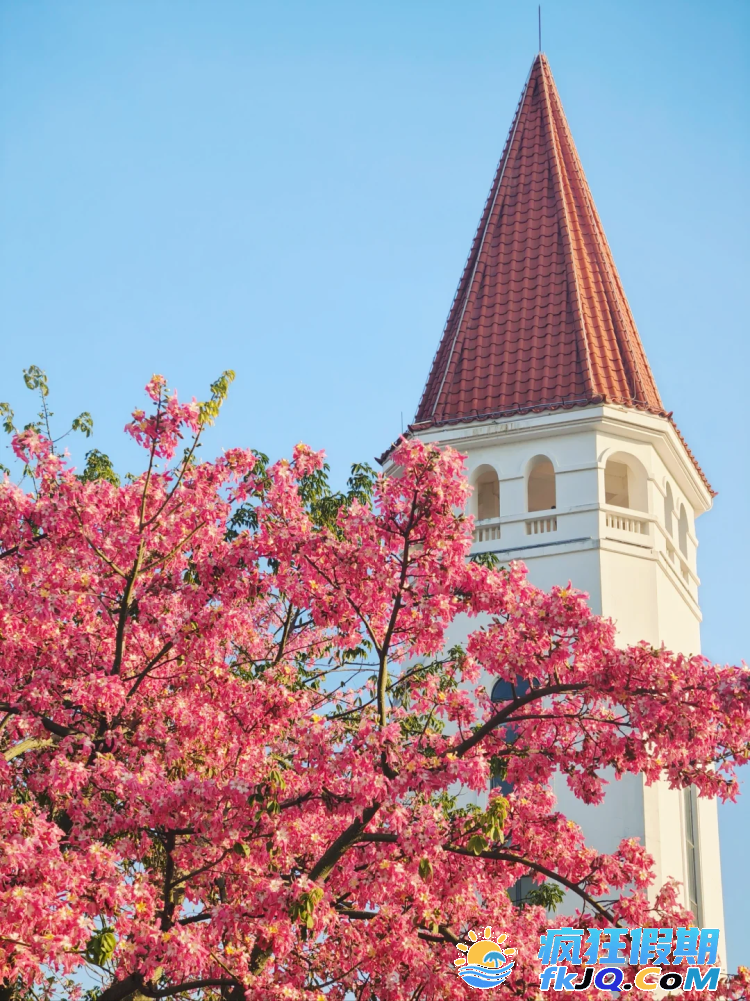 025横琴花海长廊赏花全指南 | 13.6公里花海，5大主题驿站深度解析